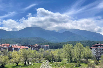 One-bedroom south-facing apartment with a stunning view of Pirin