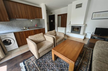 South facing one-bedroom apartment with fireplace in Winslow Infinity gated complex
