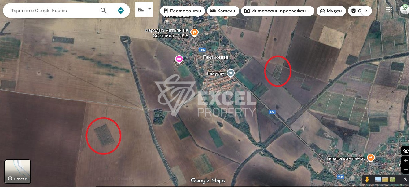 🌰 ГОТОВ РАБОТЕЩ БИЗНЕС – БАДЕМОВА ГРАДИНА В ЗЕМЛИЩЕТО НА С. ГЮЛЬОВЦА