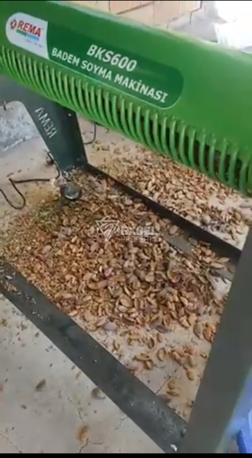 🌰 ГОТОВ РАБОТЕЩ БИЗНЕС – БАДЕМОВА ГРАДИНА В ЗЕМЛИЩЕТО НА С. ГЮЛЬОВЦА